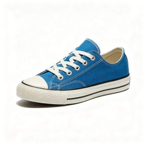 Blue Low-Top Canvas Shoes
