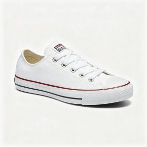 White Low Top Canvas Sneakers